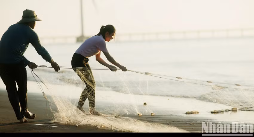 Les filets, de couleur blanche, sont lestés par des plombs au bas, équipés de flotteurs, et mesurent environ 70 à 100 m de long. Photo : Nhân Dân.