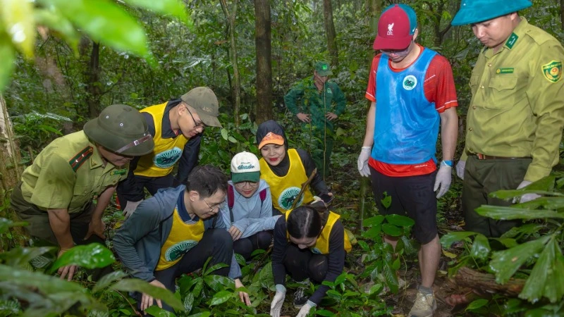 Des visiteurs participent au circuit « Retour à la maison » au parc national de Cuc Phuong. Photo : NDEL. Des visiteurs participent au circuit « Retour à la maison » au parc national de Cuc Phuong. Photo : NDEL.