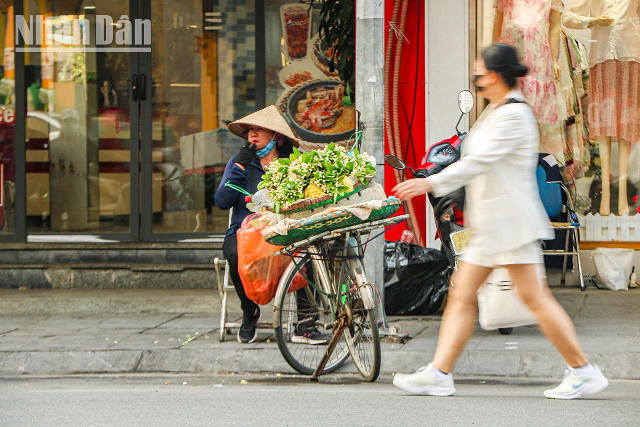 Pour avoir de belles branches remplies de fleurs, les vendeurs se lèvent tôt le matin pour couper les branches et tailler les feuilles. Puis, ils les regroupent en grappes à vendre. Pour avoir de belles branches remplies de fleurs, les vendeurs se lèvent tôt le matin pour couper les branches et tailler les feuilles. Puis, ils les regroupent en grappes à vendre.