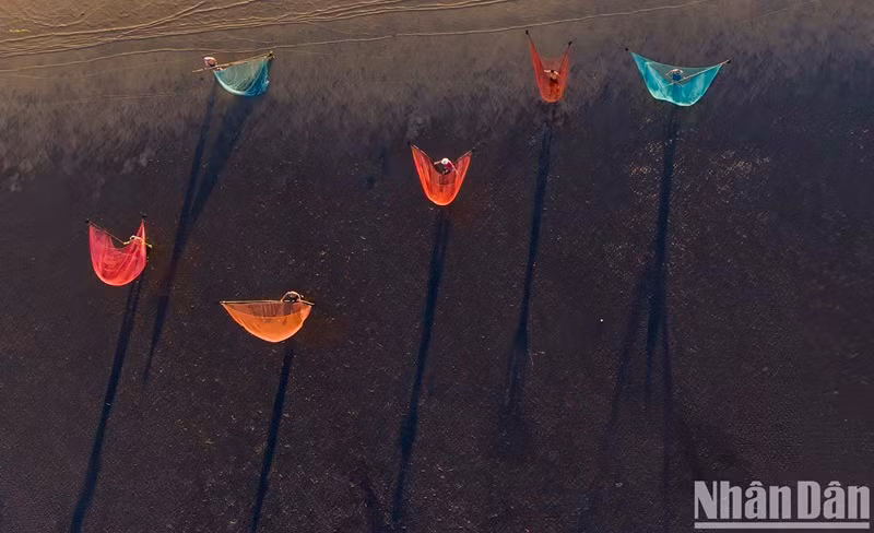 Les pêcheurs du district de Go Công, province de Tiên Giang (au Sud du Vietnam), vivent de l’aquaculture en mer.