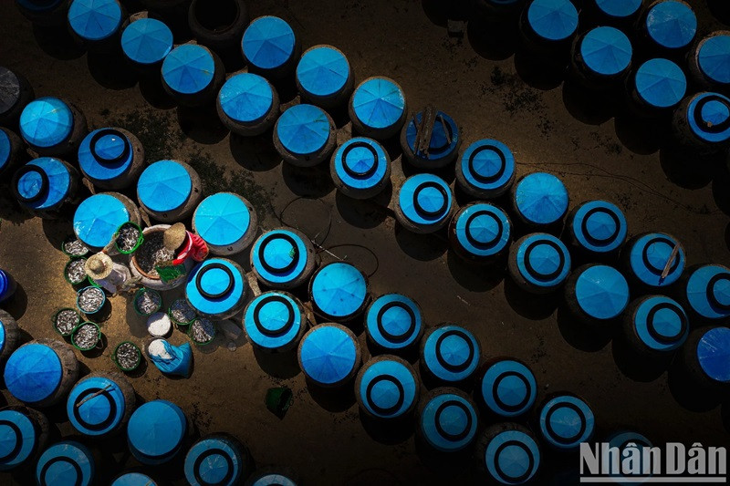 Les populations côtières préparent d’excellentes sauces de poisson à partir de certains types de poissons pêchés dans la mer. Les populations côtières préparent d’excellentes sauces de poisson à partir de certains types de poissons pêchés dans la mer.