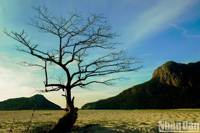 Le changement climatique affecte de plus en plus le littoral du Vietnam. Le changement climatique affecte de plus en plus le littoral du Vietnam.