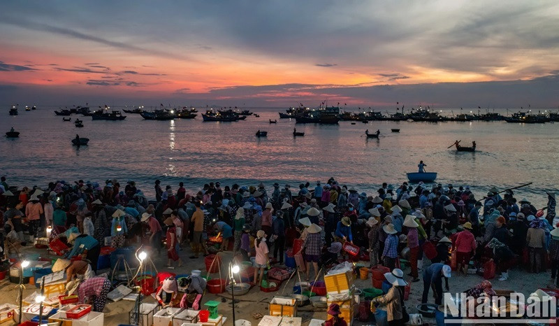 Les habitants du village de pêcheurs de Cam Ranh, province de Khanh Hoa, attendent le retour des bateaux de pêche hauturière remplis des fruits de mer. Les habitants du village de pêcheurs de Cam Ranh, province de Khanh Hoa, attendent le retour des bateaux de pêche hauturière remplis des fruits de mer.