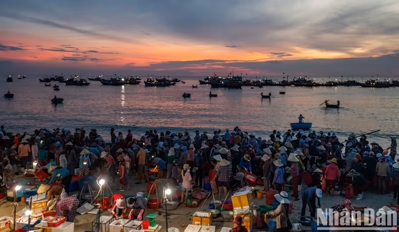 Les habitants du village de pêcheurs de Cam Ranh, province de Khanh Hoa, attendent le retour des bateaux de pêche hauturière remplis des fruits de mer.