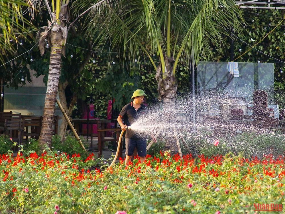 La Vallée de fleurs de Hô Tây est soigneusement entretenue par le Service de Gestion qui a planté de nouveaux arbres afin de préserver la beauté de ce lieu. La Vallée de fleurs de Hô Tây est soigneusement entretenue par le Service de Gestion qui a planté de nouveaux arbres afin de préserver la beauté de ce lieu.