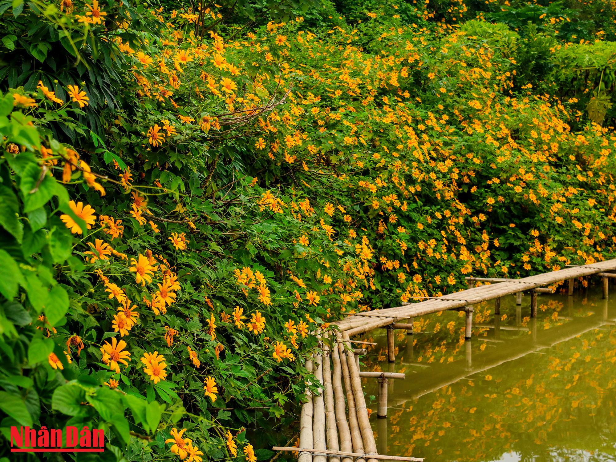 Le jardin propose des bateaux et des ponts en bambous et en bois sculpté au service des visiteurs.