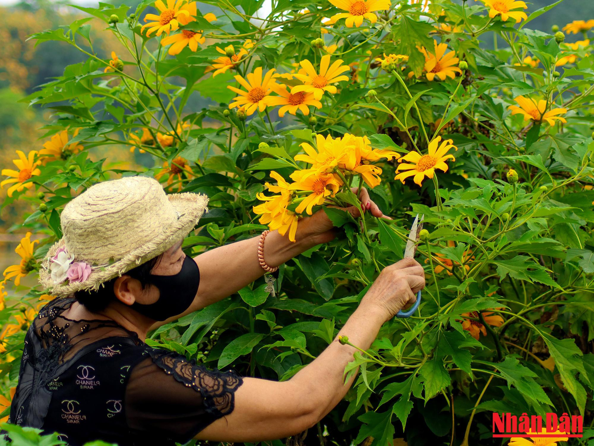 Ici, les fleurs sont soigneusement entretenues.