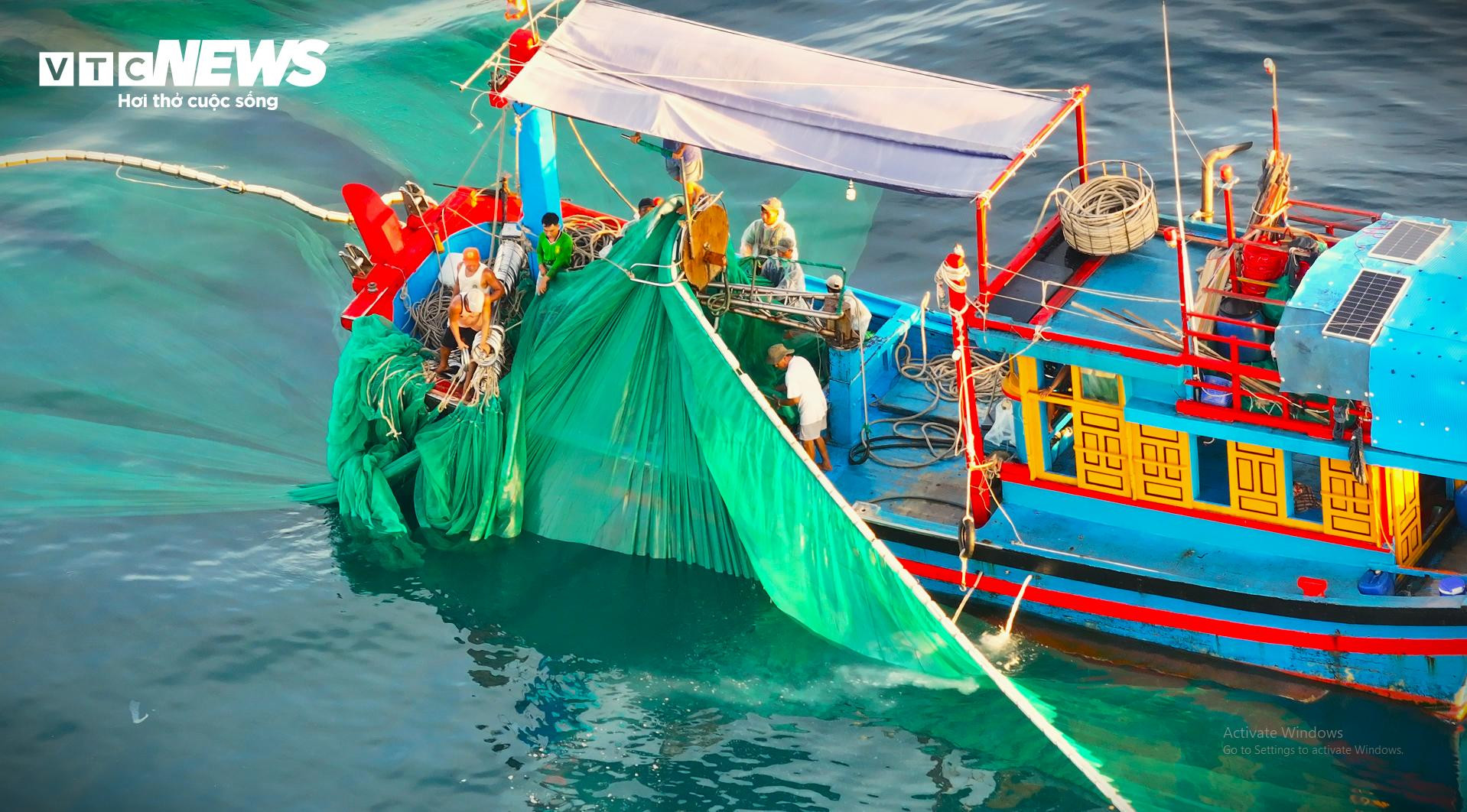 D'avril à août, les anchois se concentrent dans cette zone, apportant de meilleurs revenus aux pêcheurs. Photo : VTC News. D'avril à août, les anchois se concentrent dans cette zone, apportant de meilleurs revenus aux pêcheurs. Photo : VTC News.