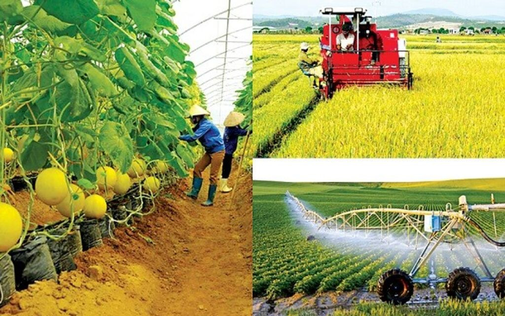 Un nouveau moteur pour le développement de l’agriculture du Vietnam 