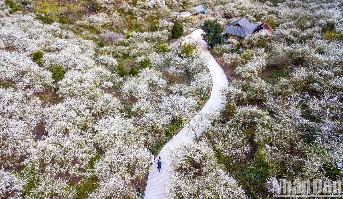 Toute la vallée s’est parée d’une couverture d’un blanc immaculé. Toute la vallée s’est parée d’une couverture d’un blanc immaculé.