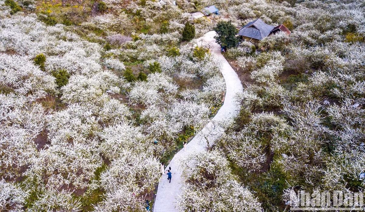 Toute la vallée s’est parée d’une couverture d’un blanc immaculé.