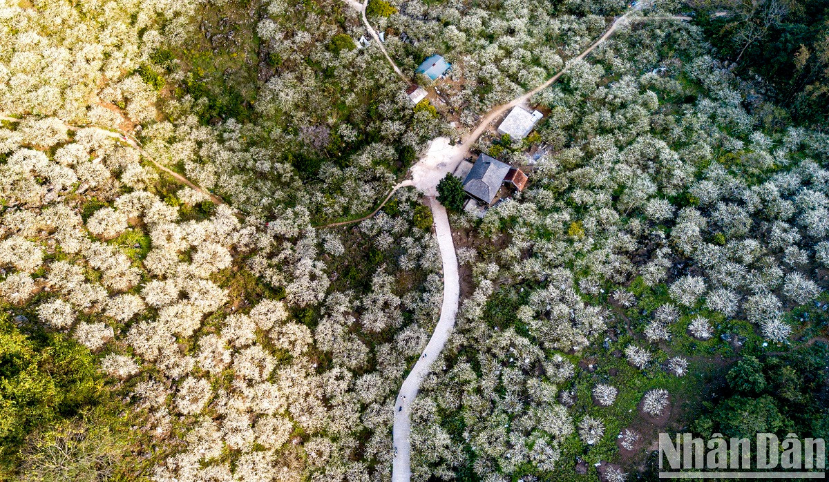 La vallée des pruniers de Mu Nau vue d’en haut. La vallée des pruniers de Mu Nau vue d’en haut.