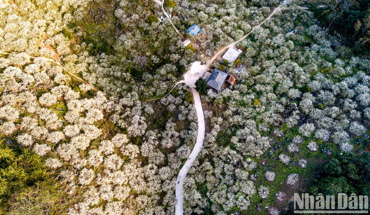 La vallée des pruniers de Mu Nau vue d’en haut.