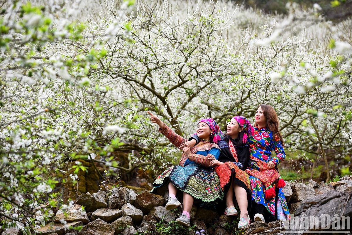 À Mu Nau, les touristes seront surpris devant la beauté de la nature et par la floraison de nombreuses espèces de fleurs créant une scène poétique entre montagnes et forêts. À Mu Nau, les touristes seront surpris devant la beauté de la nature et par la floraison de nombreuses espèces de fleurs créant une scène poétique entre montagnes et forêts.