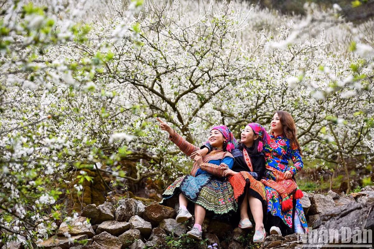 À Mu Nau, les touristes seront surpris devant la beauté de la nature et par la floraison de nombreuses espèces de fleurs créant une scène poétique entre montagnes et forêts.