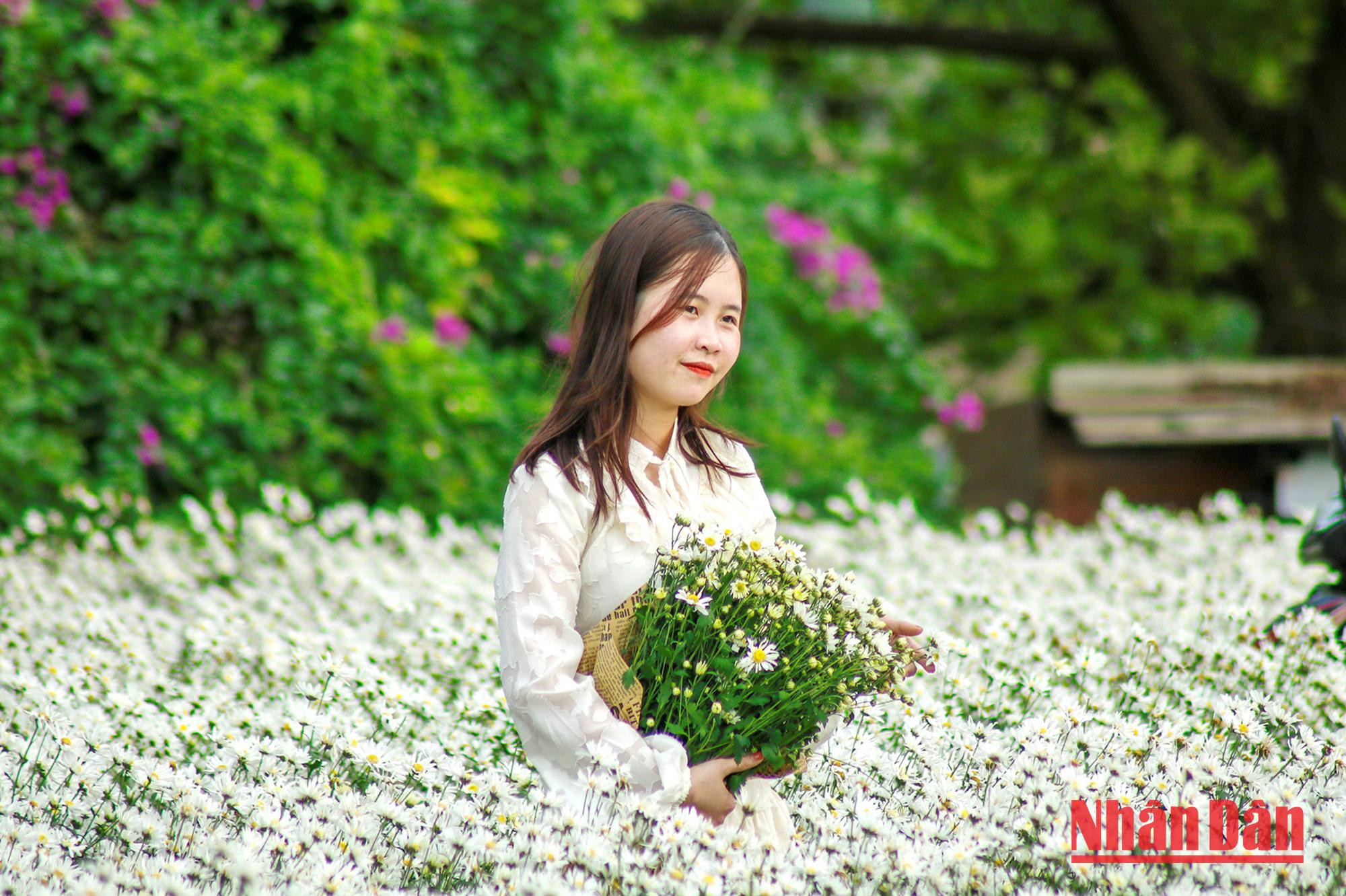 Elles ont une beauté simple et rustique. Elles ont une beauté simple et rustique.