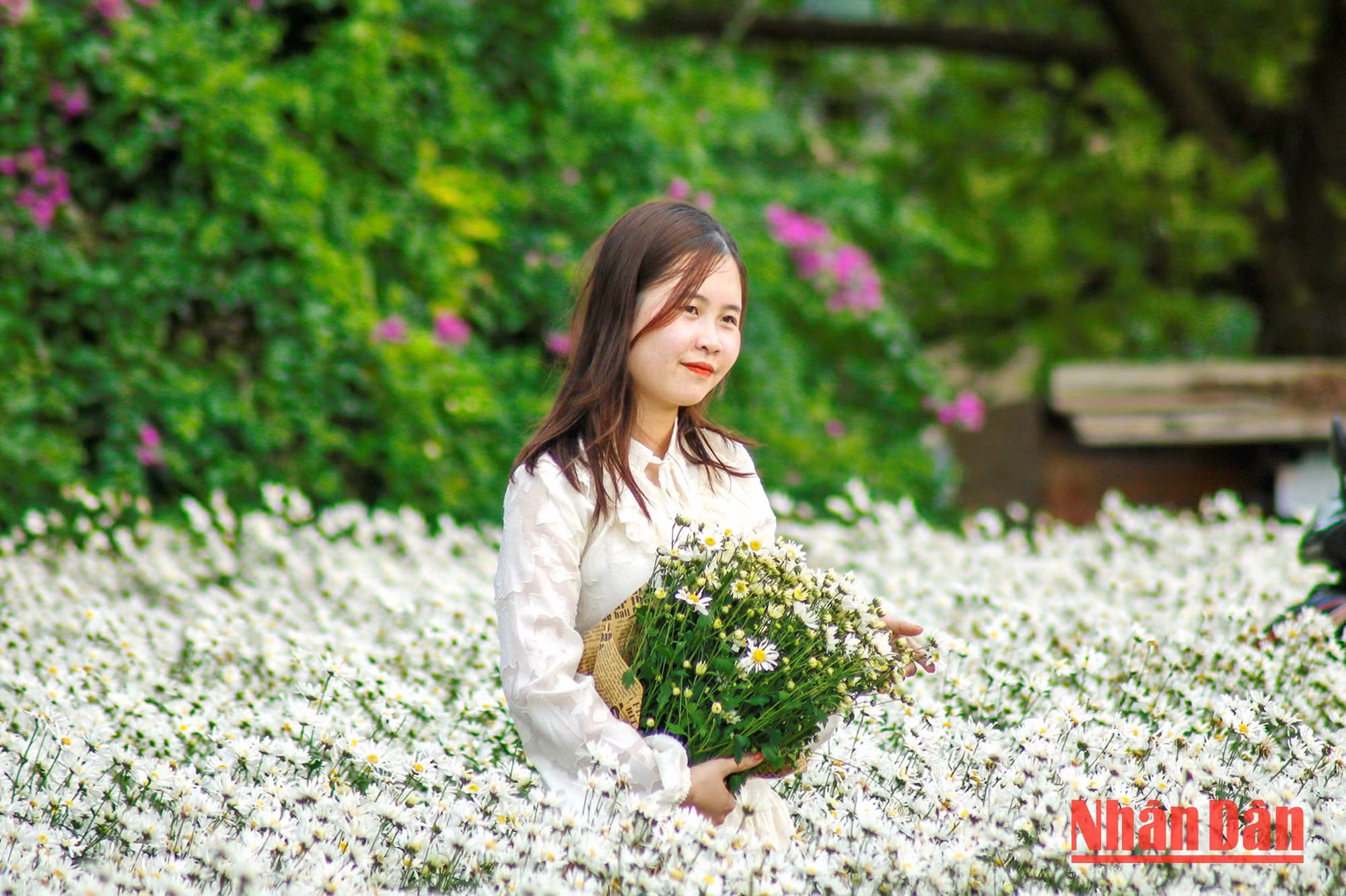 Elles ont une beauté simple et rustique.