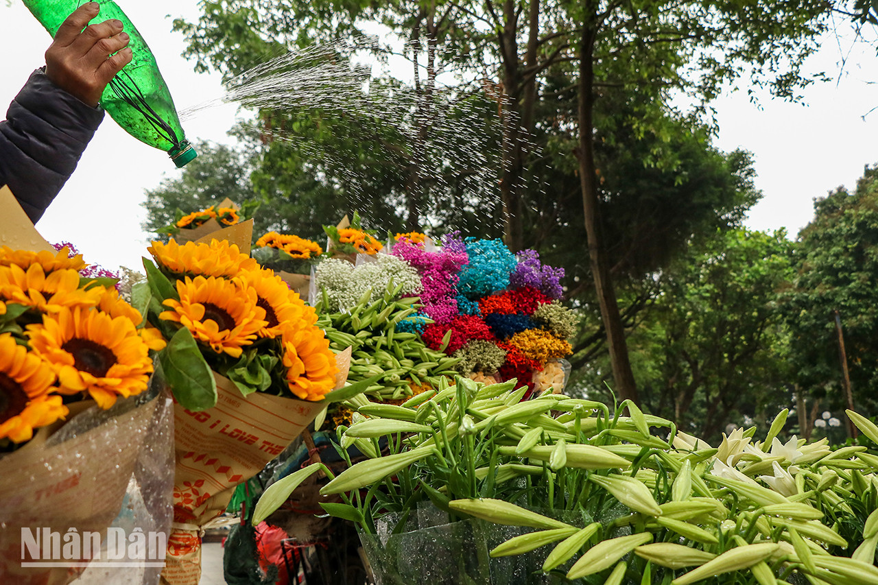 Une bicyclette portant un panier plein de fleurs colorées. Une bicyclette portant un panier plein de fleurs colorées.