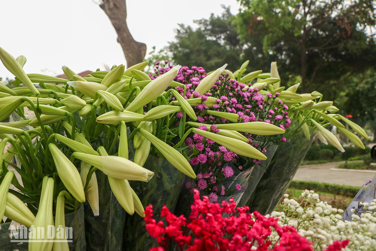 Dans la rue Thuy Khuê (arrondissement de Ba Dinh), on peut voir de nombreux marchands ambulants vendre des fleurs de toutes les couleurs. Dans la rue Thuy Khuê (arrondissement de Ba Dinh), on peut voir de nombreux marchands ambulants vendre des fleurs de toutes les couleurs.