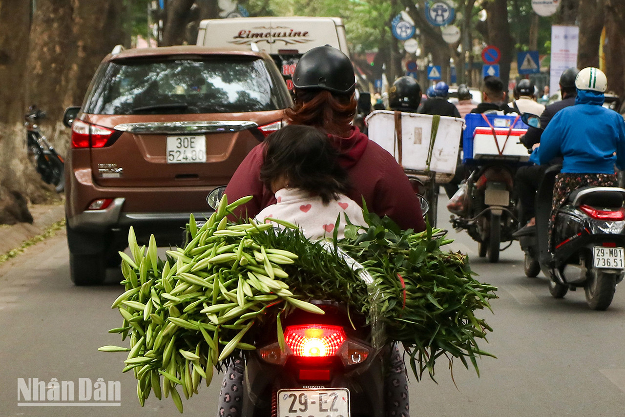 Les habitants achètent des bouquets de lys pour décorer leurs maisons. Les habitants achètent des bouquets de lys pour décorer leurs maisons.