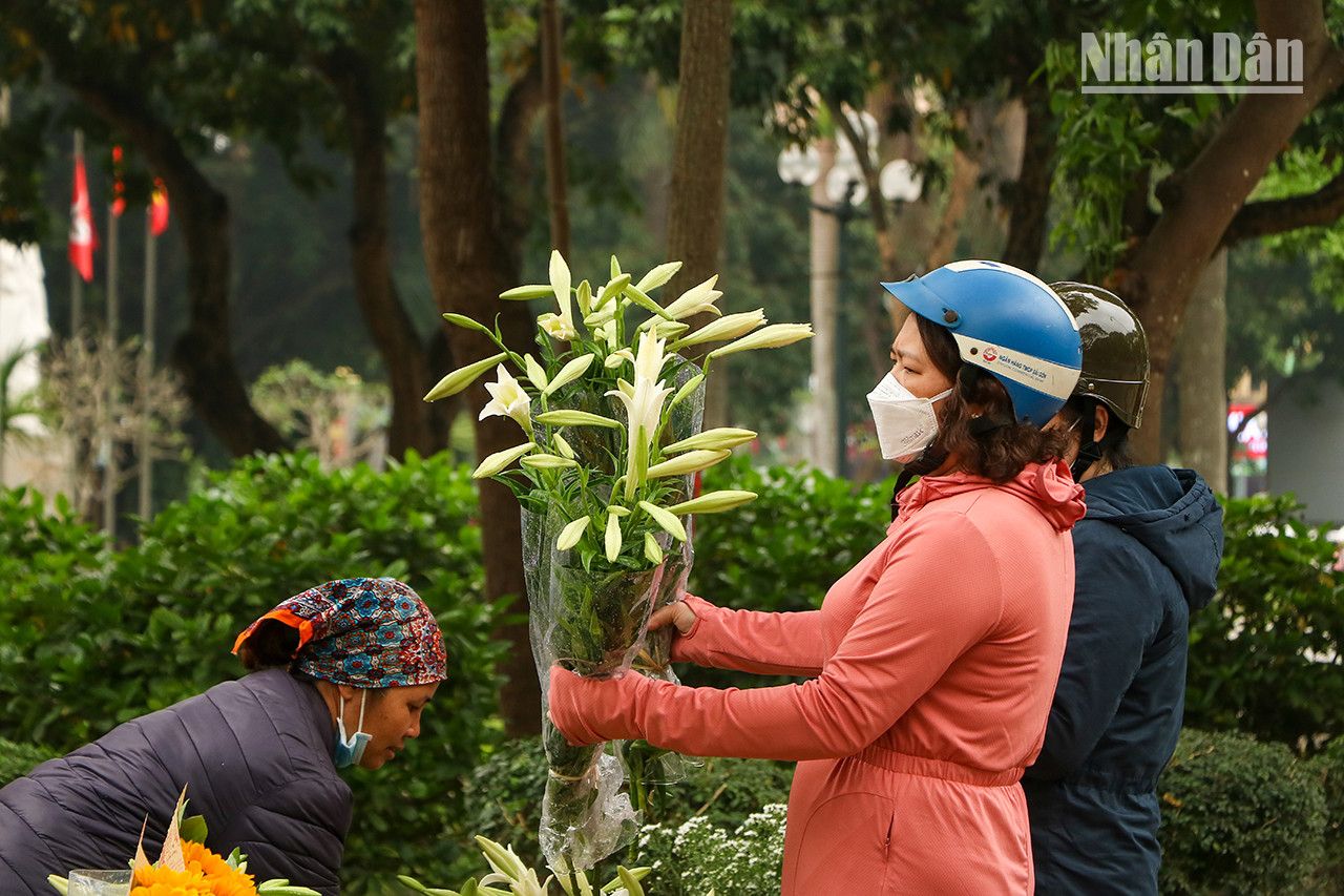 Les lys, les fleurs typiques de Hanoï, sont appréciés par de nombreuses personnes. Les lys, les fleurs typiques de Hanoï, sont appréciés par de nombreuses personnes.