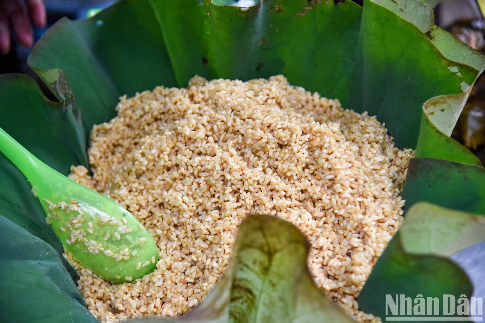 Le ruou nep est un plat incontournable pour les habitants de la capitale lors du Têt Doan Ngo.