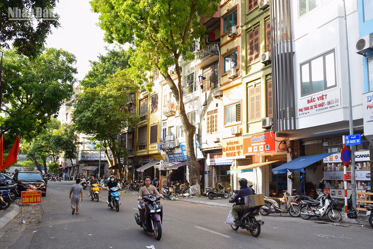 La rue Dô Ngoc Du mesure 200 m de long et 9 m de large. Elle part de la rue Nguyên Công Tru et traverse la rue Dông Nhân jusqu’à la rue Huong Viên, à côté du Temple Hai Bà Trung (Temple des deux sœurs Trung). Elle s’appelait pendant la période coloniale française la rue 252 et, pendant la période d’occupation, la rue 337. Le nom Dô Ngoc Du lui a été donné en 1994. Cette rue est un des endroits célèbres de Hanoï pour le commerce des accessoires automobiles.