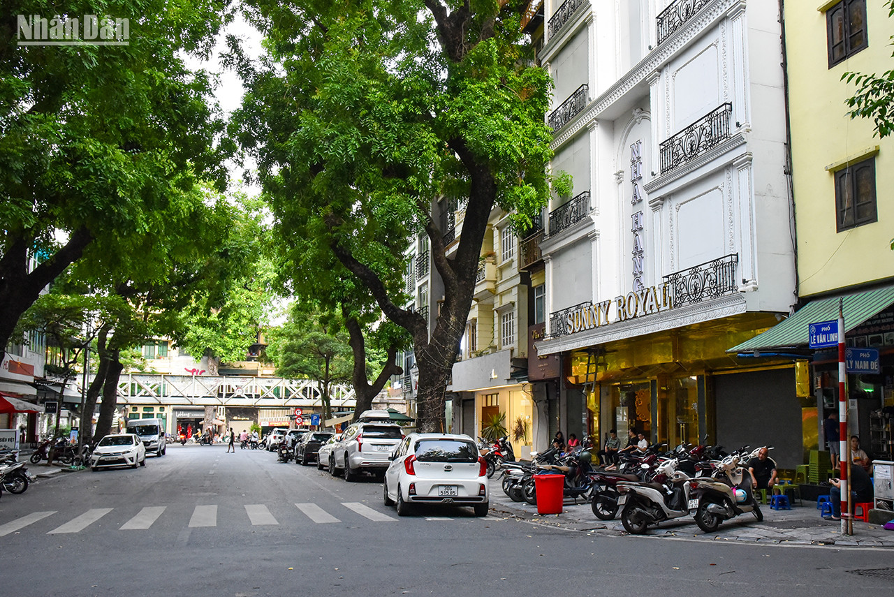La rue Lê Van Linh allant de la rue Phùng Hung à la rue Ly Nam Dê, mesure 65 m de long. Autrefois, cet endroit était un système de fossés entourant la partie Est de l’ancienne citadelle royale de Thang Long. À l’époque coloniale, les Français l’avaient baptisé rue du Général Nogrès. Plus tard, elle a été nommée la rue Le Van Linh (1377 - 1448), un artiste littéraire qui suivit le Héros national Lê Loi lors du soulèvement de Lam Son. Actuellement, elle est également un lieu fréquenté pour les services et le commerce. La rue Lê Van Linh allant de la rue Phùng Hung à la rue Ly Nam Dê, mesure 65 m de long. Autrefois, cet endroit était un système de fossés entourant la partie Est de l’ancienne citadelle royale de Thang Long. À l’époque coloniale, les Français l’avaient baptisé rue du Général Nogrès. Plus tard, elle a été nommée la rue Le Van Linh (1377 - 1448), un artiste littéraire qui suivit le Héros national Lê Loi lors du soulèvement de Lam Son. Actuellement, elle est également un lieu fréquenté pour les services et le commerce.