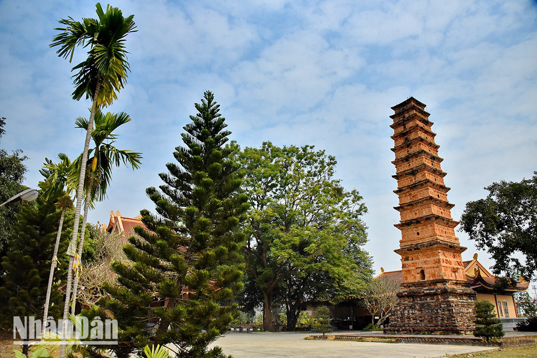 L’architecture unique de la tour Binh Son, édifiée sous les dynasties Ly-Tran, reste presque intacte et elle constitue la plus haute tour construite en terre cuite restante à ce jour. La tour est construite en briques rouges qui brillent sous les rayons du soleil. Selon la légende, elle aurait compté 15 étages. Selon les habitants les plus âgés, dans le passé, au sommet de la tour se trouvait un bloc en forme de bourgeon de lotus en terre cuite, lui donnant une forme ascendante. Photo : Phan Anh/NDEL. L’architecture unique de la tour Binh Son, édifiée sous les dynasties Ly-Tran, reste presque intacte et elle constitue la plus haute tour construite en terre cuite restante à ce jour. La tour est construite en briques rouges qui brillent sous les rayons du soleil. Selon la légende, elle aurait compté 15 étages. Selon les habitants les plus âgés, dans le passé, au sommet de la tour se trouvait un bloc en forme de bourgeon de lotus en terre cuite, lui donnant une forme ascendante. Photo : Phan Anh/NDEL.