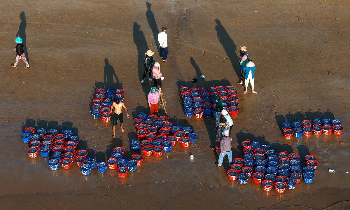 Les commerçants entament les négociations sur place pour obtenir les produits qui leur conviennent. Photo : Vnexpress. Les commerçants entament les négociations sur place pour obtenir les produits qui leur conviennent. Photo : Vnexpress.