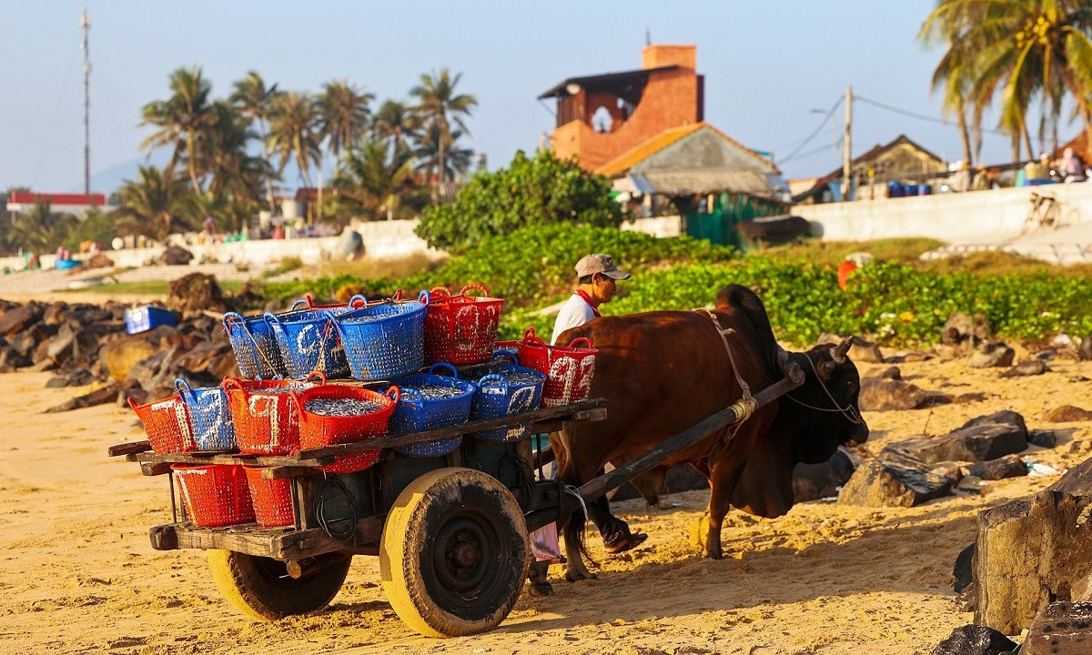 « Chaque enchère » ne dure que quelques minutes, et à la fin, tout le monde repart avec le sourire. Photo : Vnexpress. « Chaque enchère » ne dure que quelques minutes, et à la fin, tout le monde repart avec le sourire. Photo : Vnexpress.