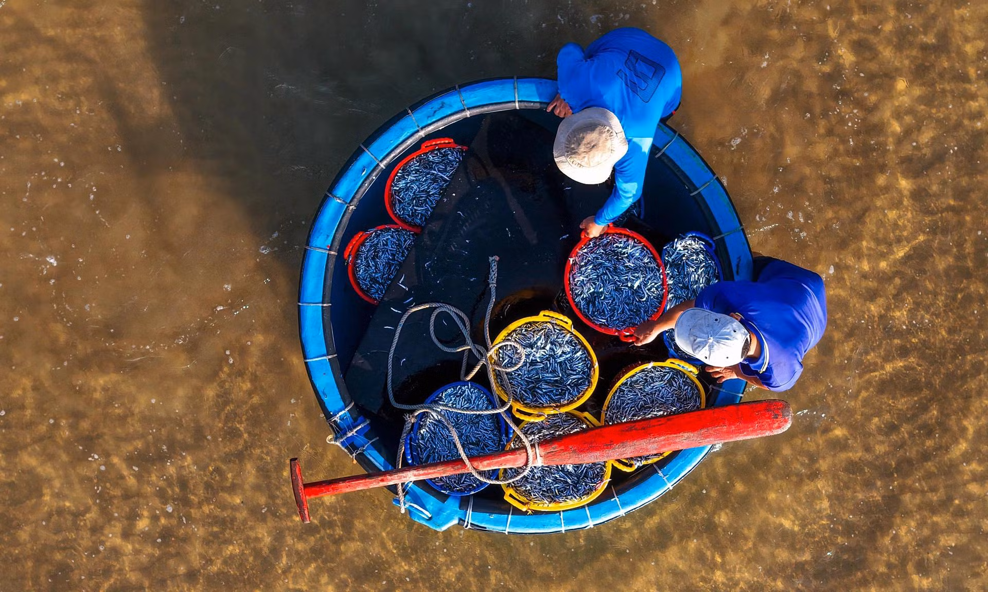 À la découverte des marchés aux poissons dans les villages de pêcheurs à Phu Yen