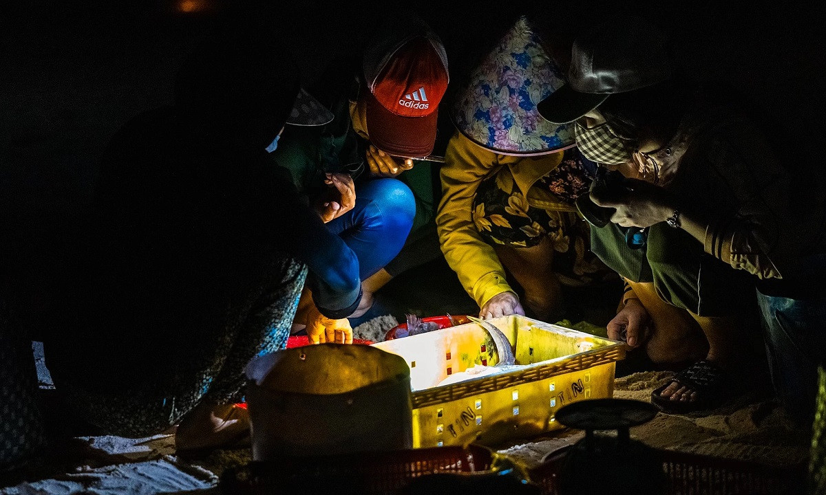 Des commerçants examinent les produits avant de négocier les prix avec les propriétaires des bateaux. Photo : Vnexpress. Des commerçants examinent les produits avant de négocier les prix avec les propriétaires des bateaux. Photo : Vnexpress.