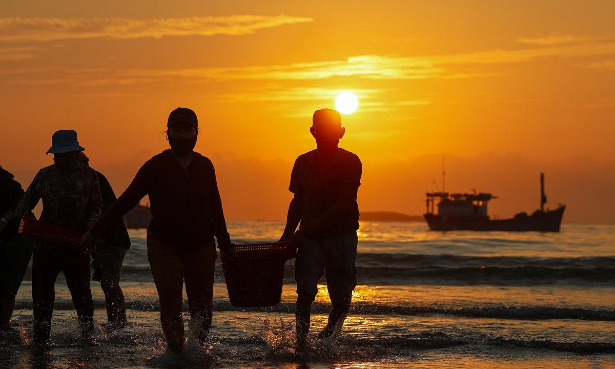 Des paniers d’anchois pouvant peser jusqu’à 10 kg étaient débarqués. Photo : Vnexpress. Des paniers d’anchois pouvant peser jusqu’à 10 kg étaient débarqués. Photo : Vnexpress.