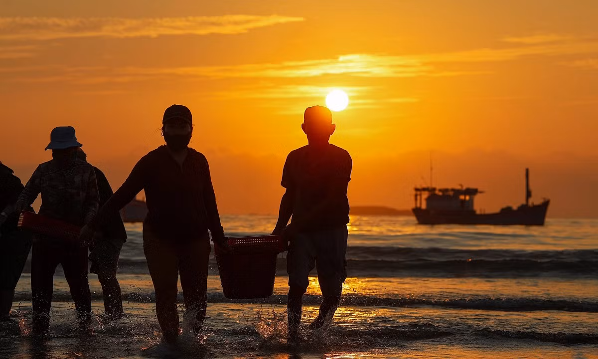 Des paniers d’anchois pouvant peser jusqu’à 10 kg étaient débarqués. Photo : Vnexpress. Des paniers d’anchois pouvant peser jusqu’à 10 kg étaient débarqués. Photo : Vnexpress.