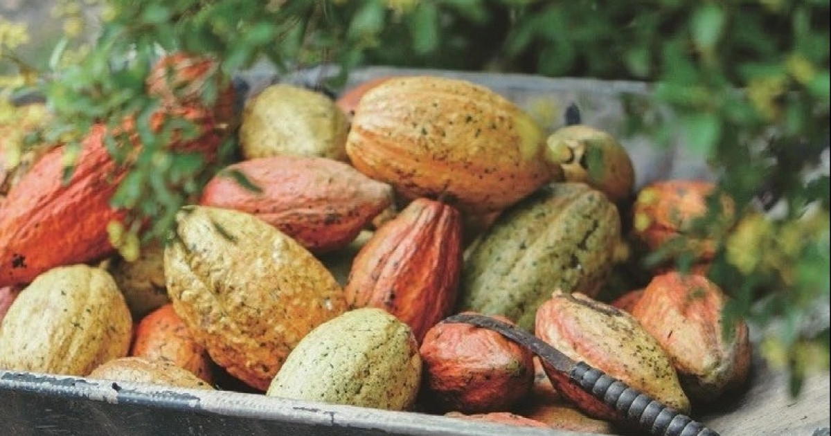 Photo : NĐT.