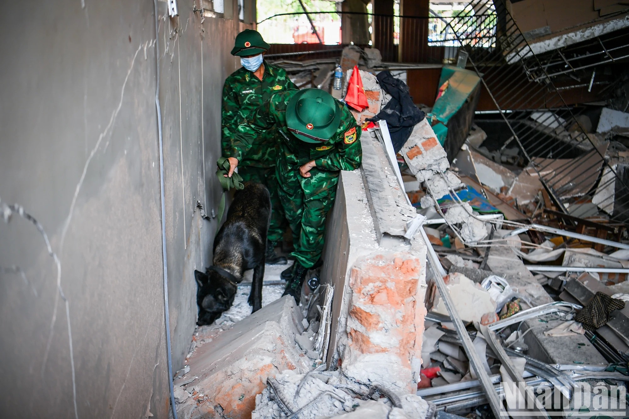 Pour accélérer les recherches, une unité cynophile a été déployée sur place.