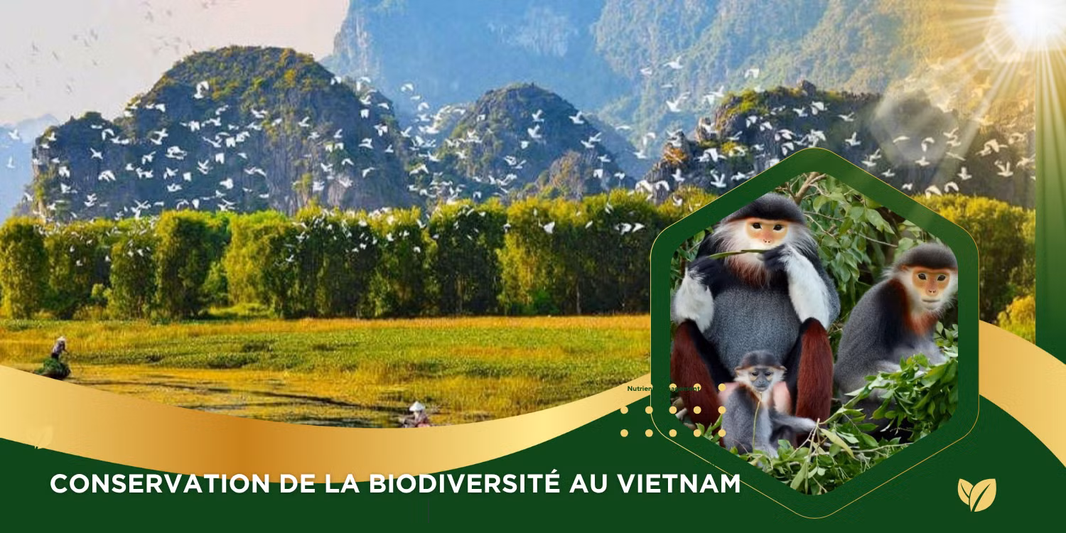 Renforcer l'efficacité de la conservation de la biodiversité