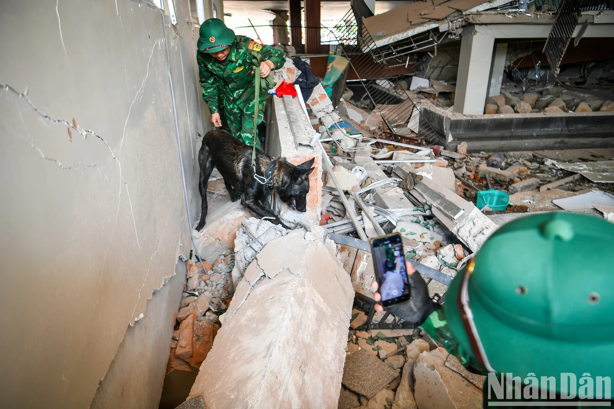 Les chiens de recherche flairent les lieux pour repérer d’éventuelles victimes encore prisonnières sous les décombres.