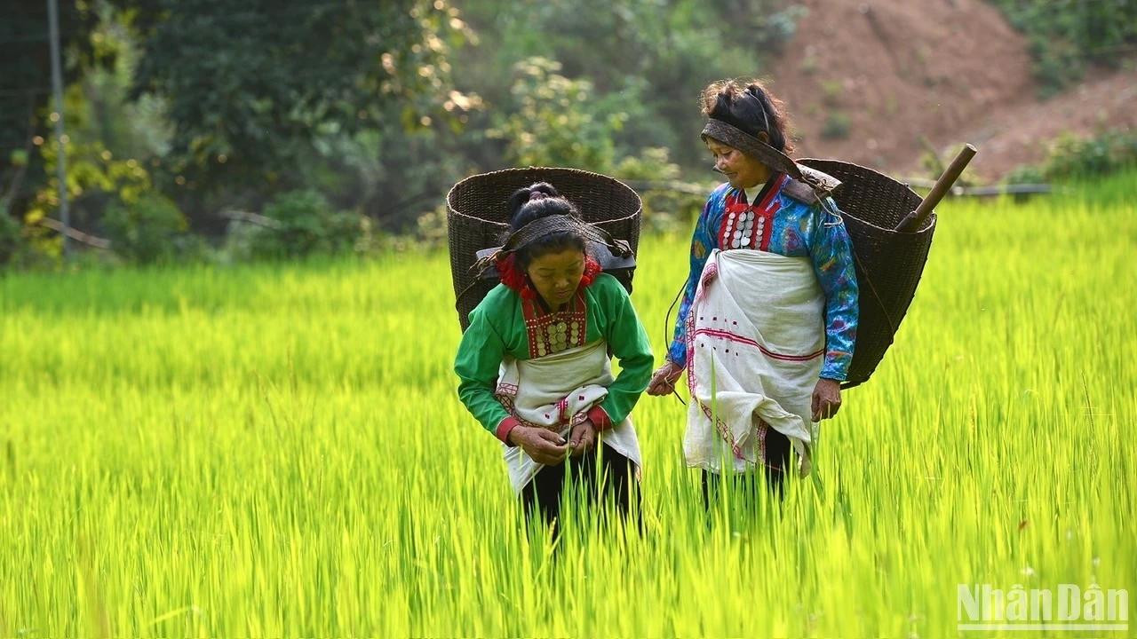 Une culture ethnique singulière et remarquable. Photo: Vu Linh Une culture ethnique singulière et remarquable. Photo: Vu Linh