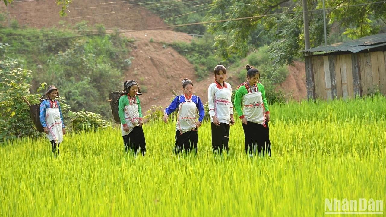 Femmes Mang en costume traditionnel. Photo: Vu Linh Femmes Mang en costume traditionnel. Photo: Vu Linh
