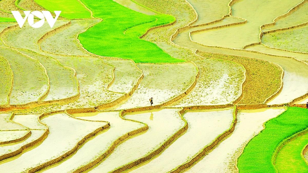 La saison des eaux à Mu Cang Chai, au Nord-Ouest du Vietnam, s’étend généralement de mai à juin, lorsque les premières pluies estivales viennent inonder progressivement les rizières asséchées. Photo : VOV.