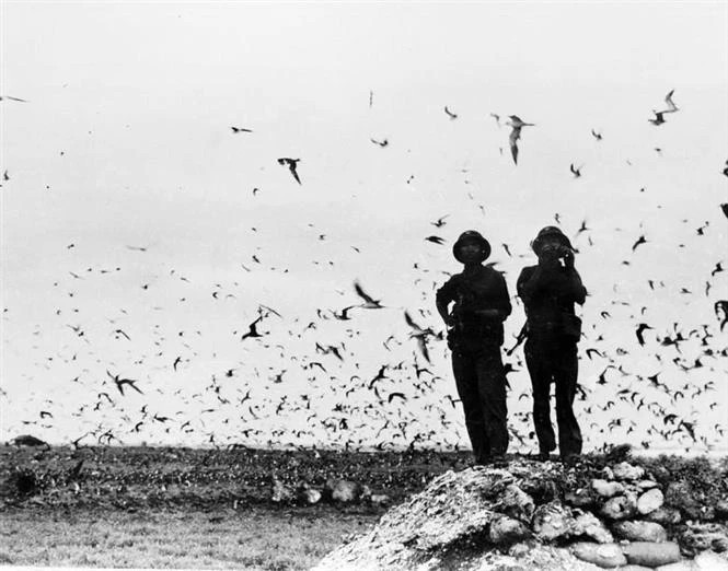 Marins sur l'île de Trường Sa libérée, le 29 avril 1975. Photo d'archives : VNA. Marins sur l'île de Trường Sa libérée, le 29 avril 1975. Photo d'archives : VNA.
