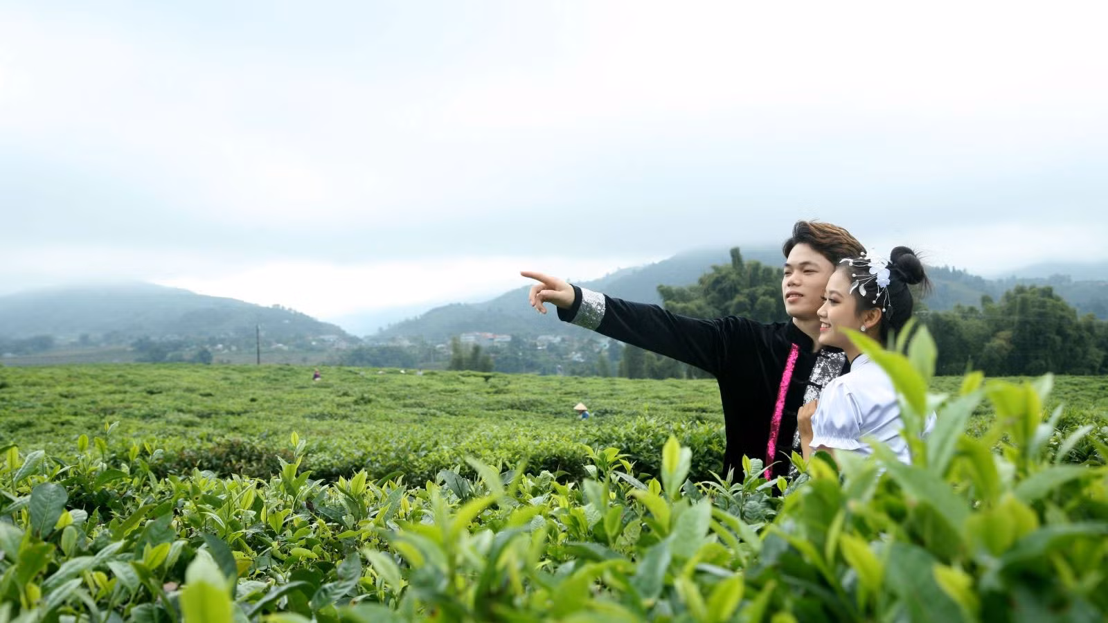 Panorama du secteur du thé à Tan Uyen : situation actuelle, défis et nouvelles orientations ảnh 7