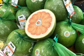 Les exportations agricoles vietnamiennes confrontées aux risques climatiques liés à El Niño. Photo : Bnews.