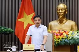 Le vice-Premier ministre Nguyen Van Thang s'exprime à la réunion. Photo: VNA