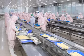 Les exportations de produits aquatiques demeurent l’un des principaux moteurs du commerce extérieur du Vietnam. Photo : VNA/CVN