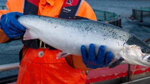 Photo d'illustration : VnEconomy