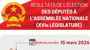[Infographie] La nouvelle législature de l’Assemblée nationale vietnamienne en chiffres 