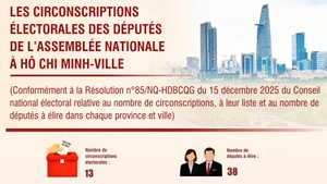 [Infographie] Les circonscriptions électorales des députes de l’Assemblée nationale à Hô Chi Minh-Ville